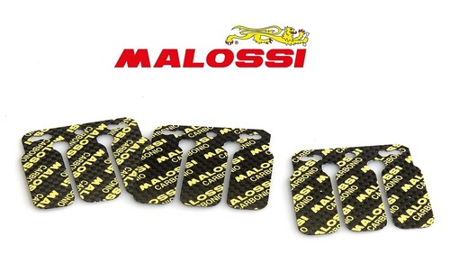 Serie lamelle malossi honda - lamelle,