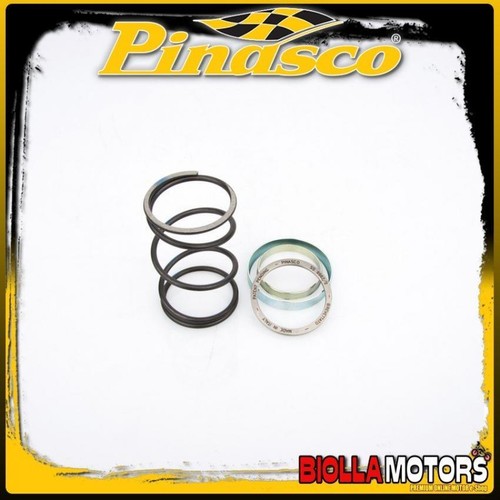 10412077 spring slider pinasco - spring,