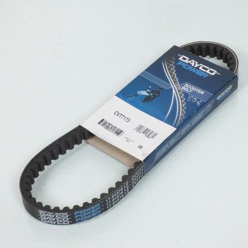 Cinghia trasmissione dayco - cinghia,