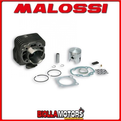 316998 gruppo termico - gruppo, malossi